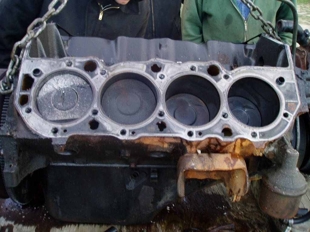 P1010071.jpg
