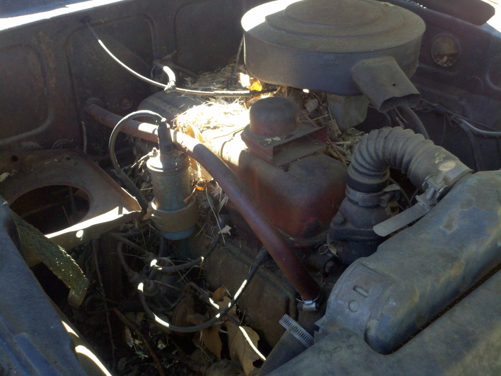 The little 1.7l I4 OHV sat untouched for almost 30 years. ...but it wasn't frozen and I got it to run.